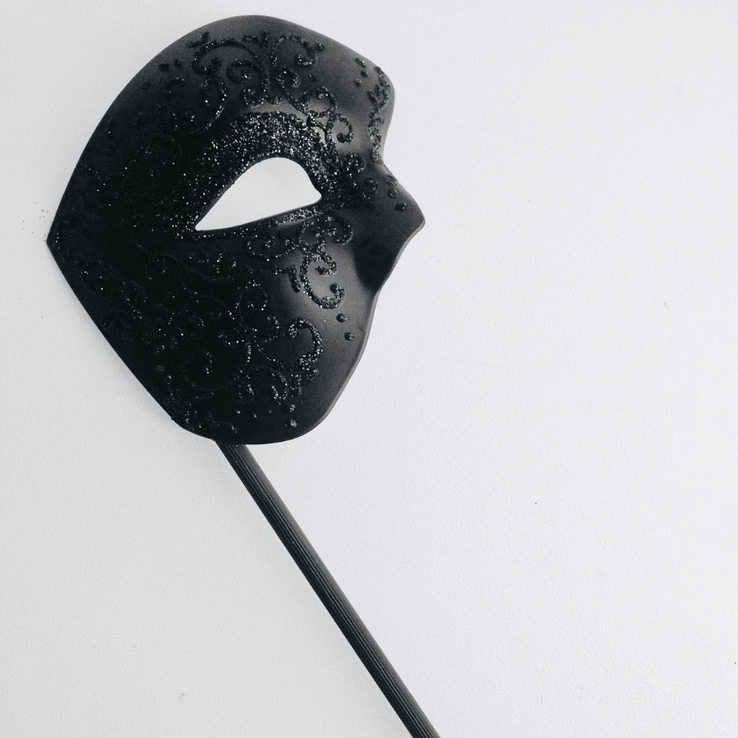 Handheld Stick Mask | Feather Masquerade Mask Black Silver