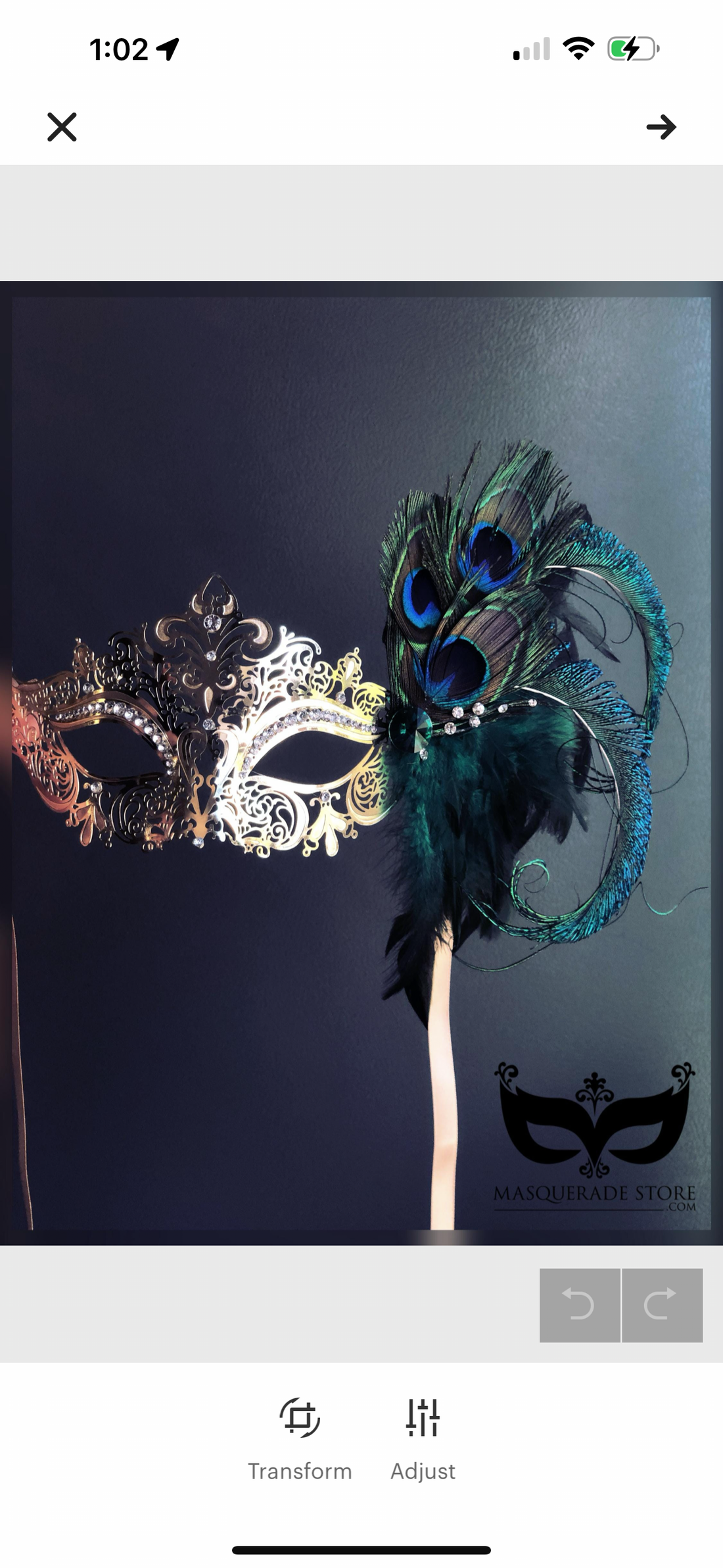 Mystery Peacock - Handheld Mask