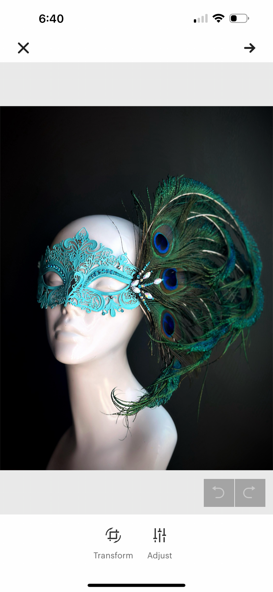 Peacock Elegance - Turquoise