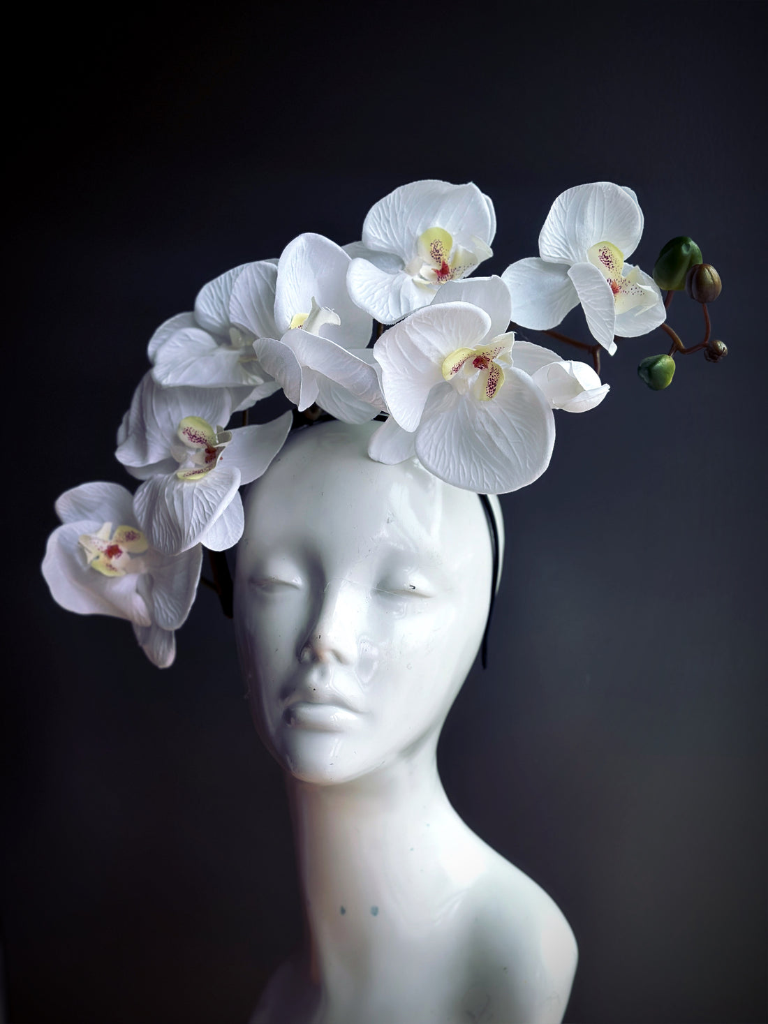 White orchid flowers on a black fascinator headband.